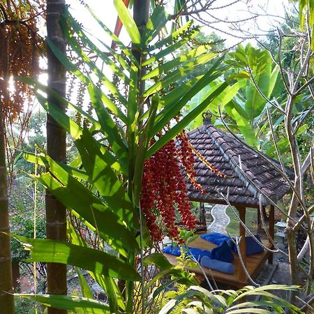 Lovina Sananda Bungalow מראה חיצוני תמונה