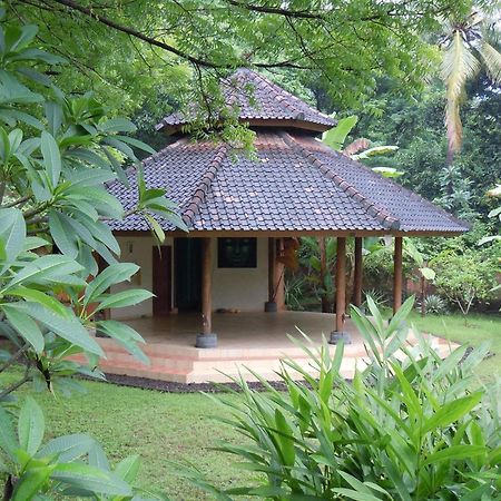 Lovina Sananda Bungalow מראה חיצוני תמונה