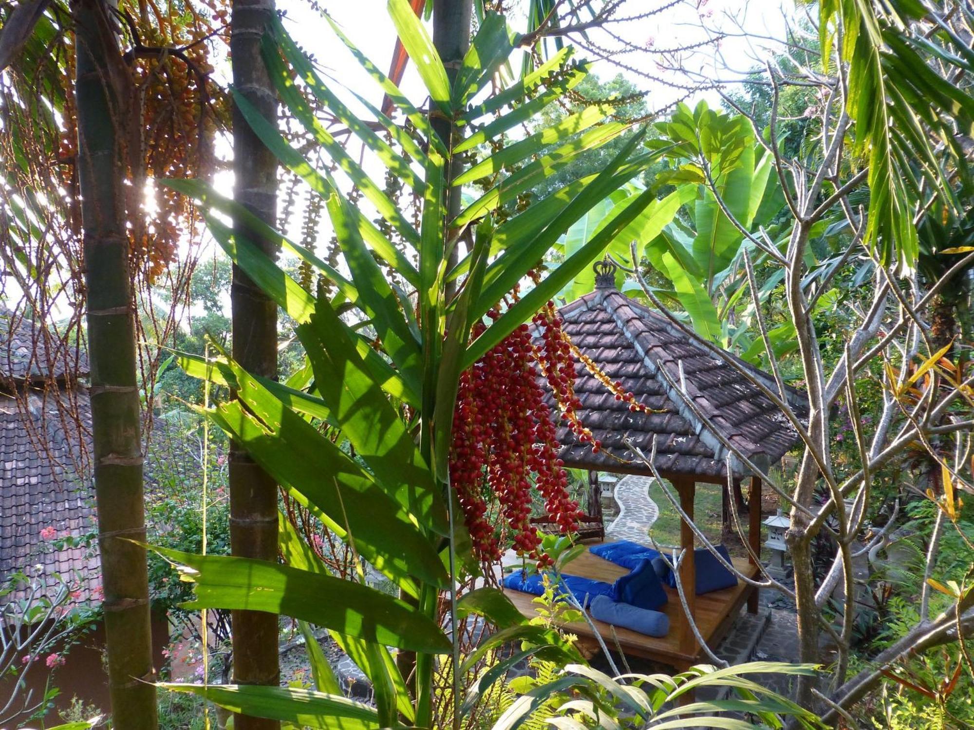 Lovina Sananda Bungalow מראה חיצוני תמונה
