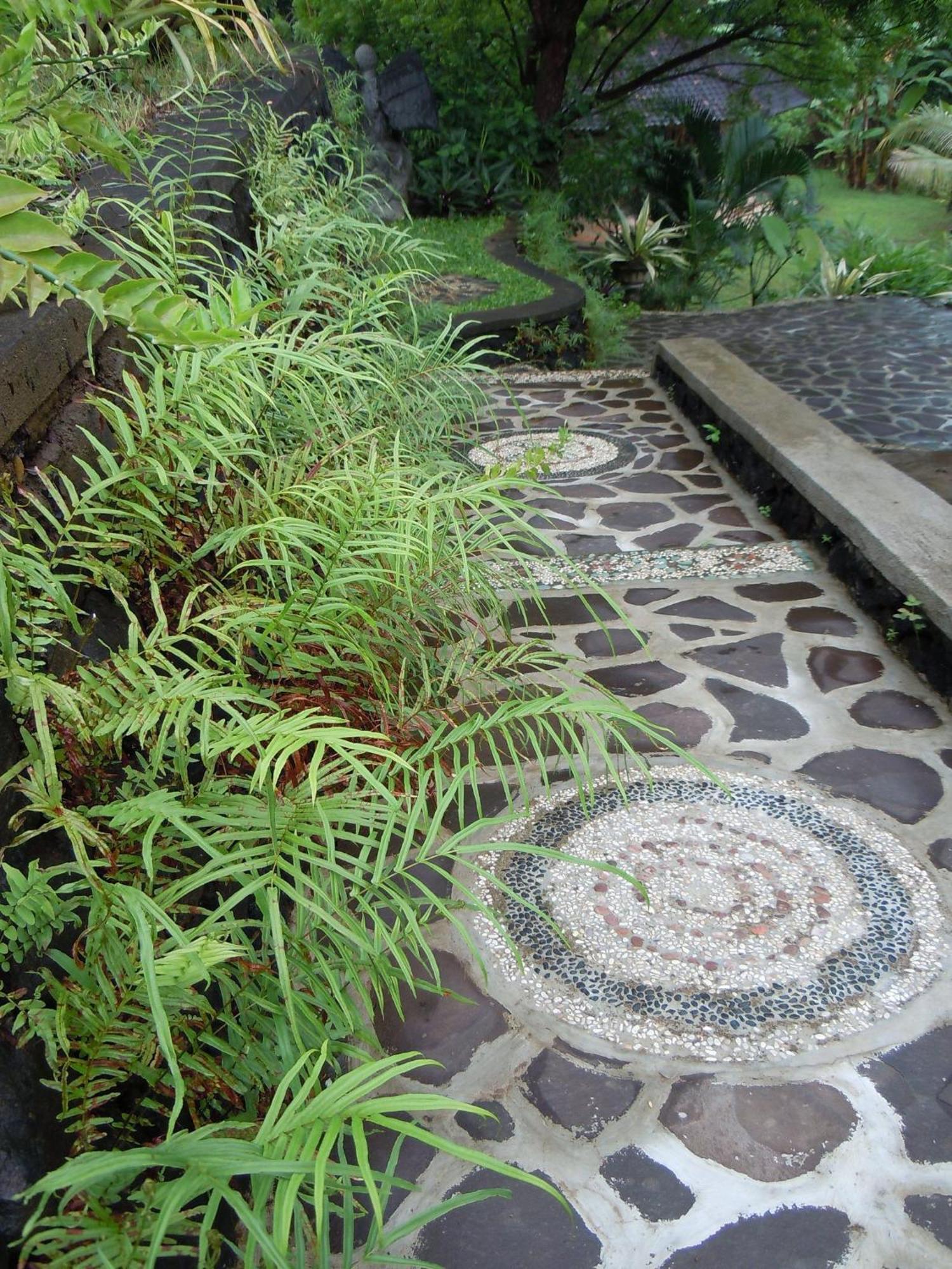 Lovina Sananda Bungalow מראה חיצוני תמונה