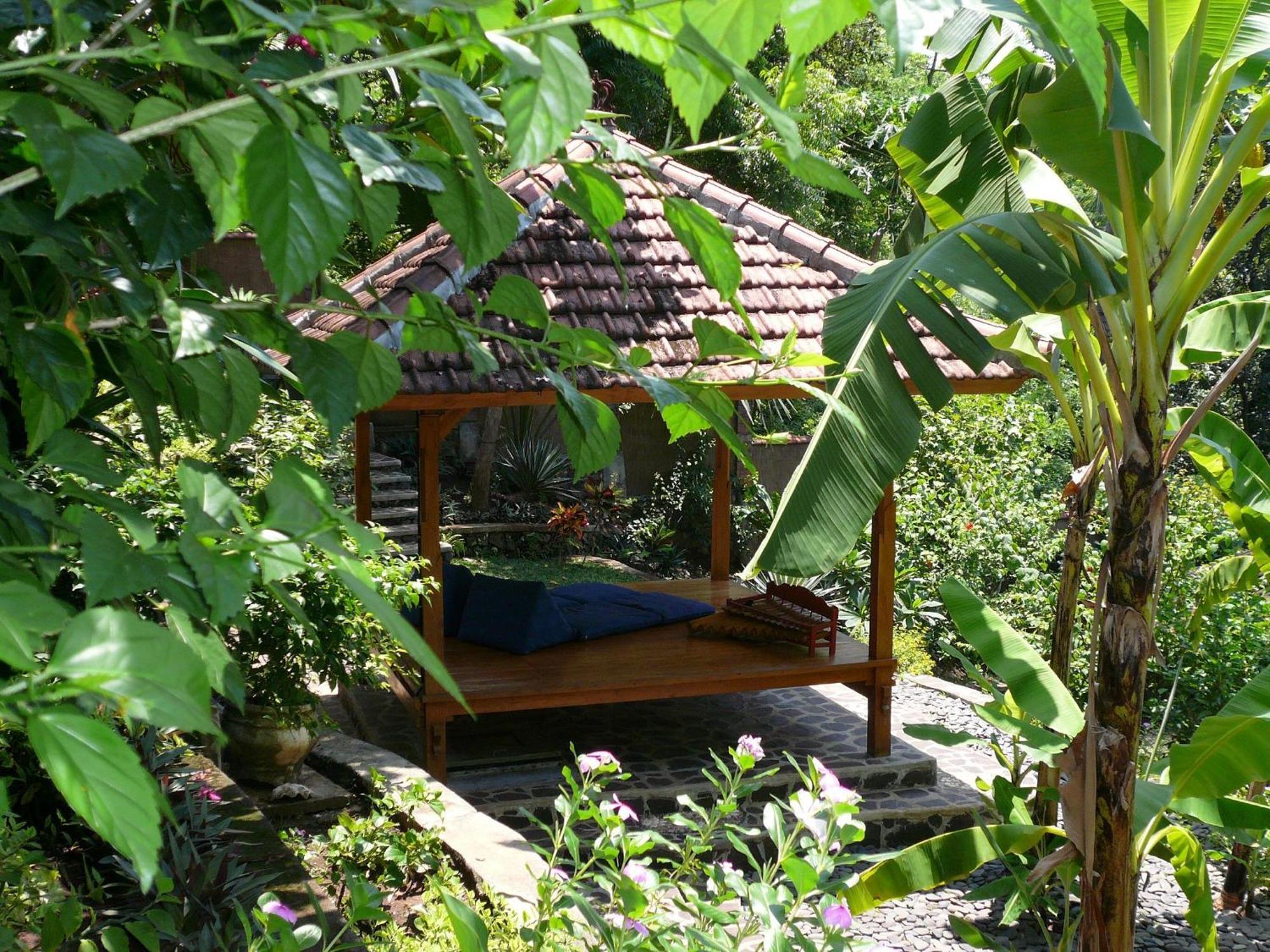 Lovina Sananda Bungalow מראה חיצוני תמונה