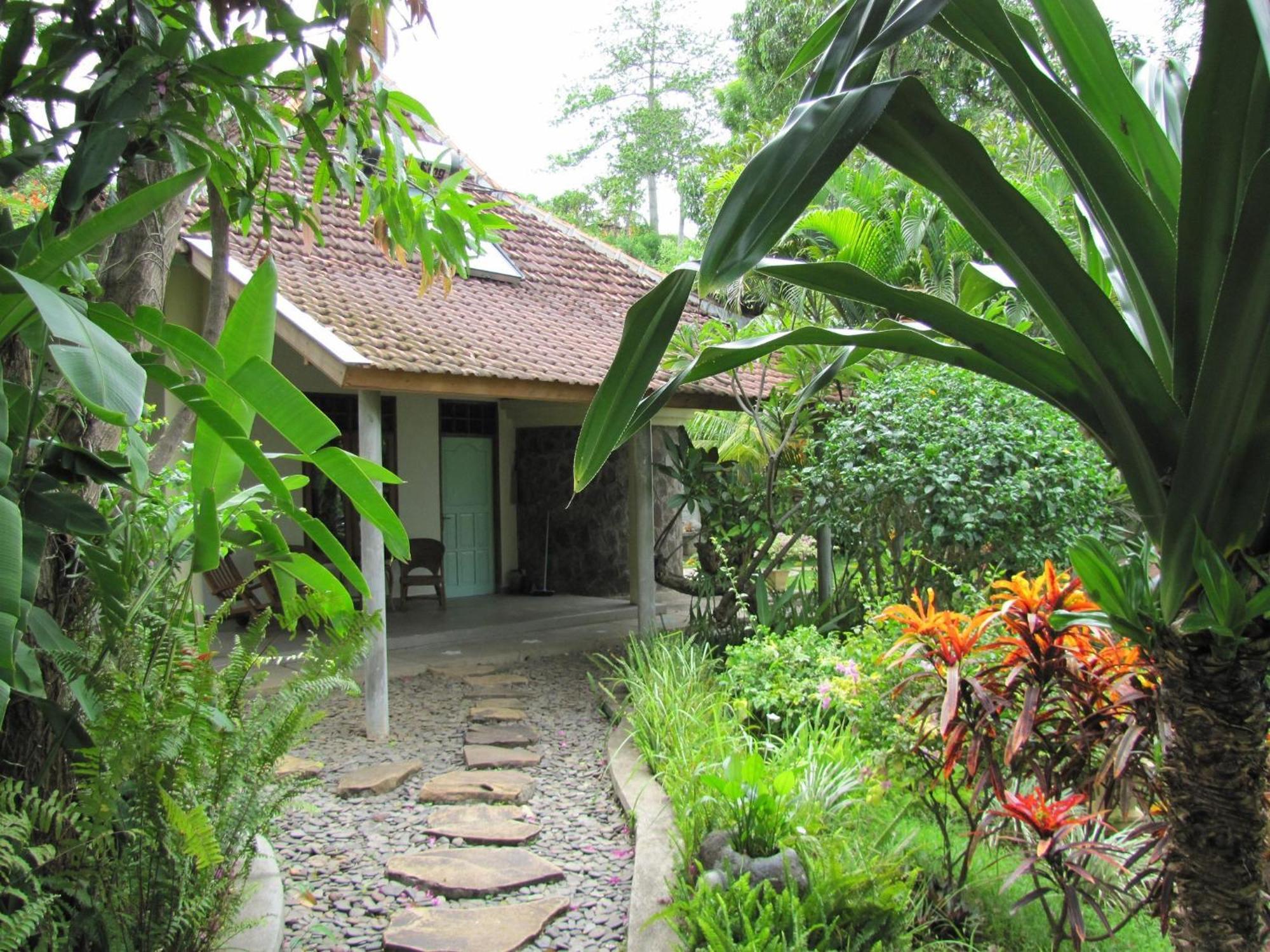 Lovina Sananda Bungalow מראה חיצוני תמונה