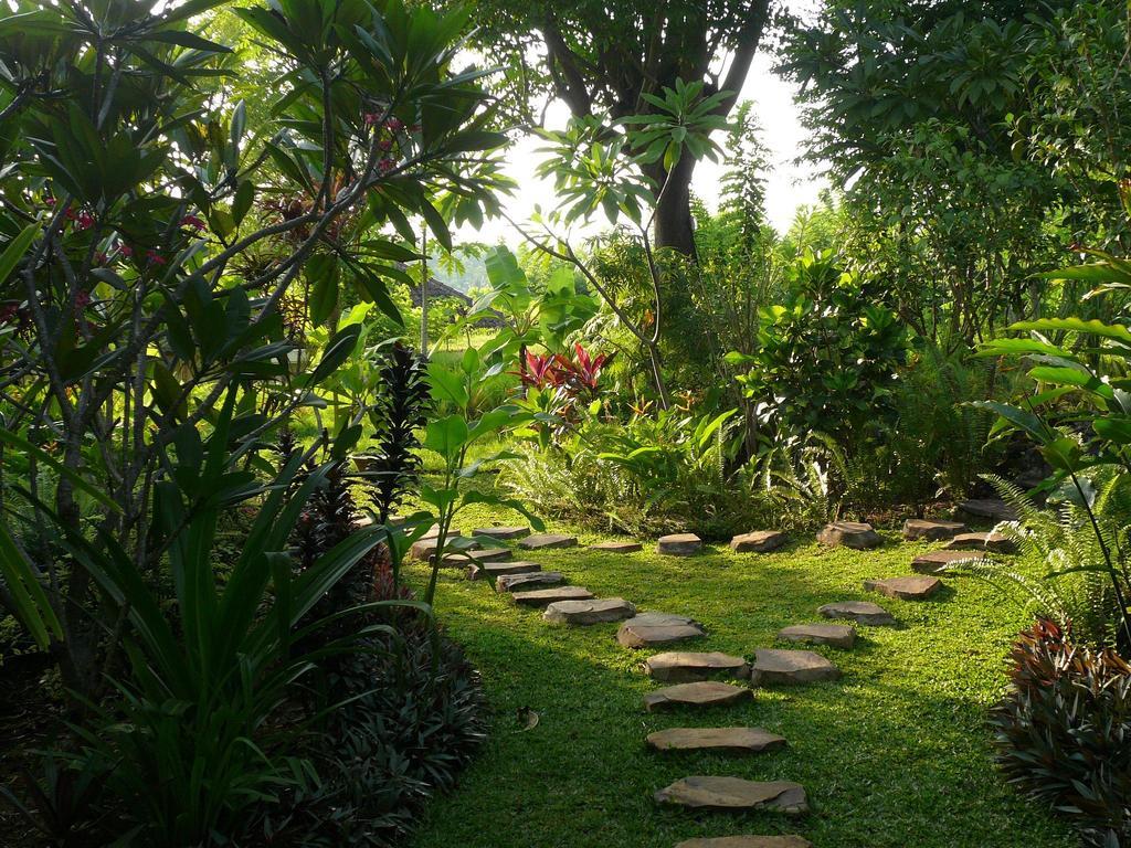 Lovina Sananda Bungalow מראה חיצוני תמונה
