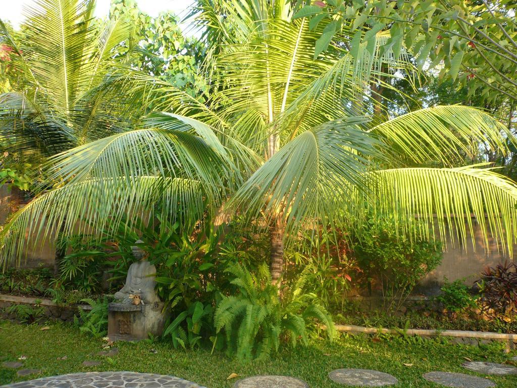 Lovina Sananda Bungalow מראה חיצוני תמונה